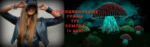 a pvp Абаза