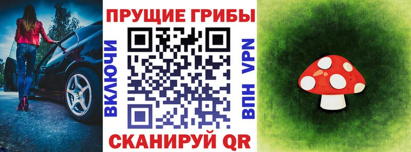 блэк спрут tor  Комсомольск-на-Амуре  Галлюциногенные грибы MAGIC MUSHROOMS 
